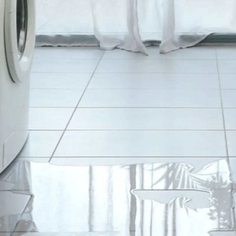 Appliance Leak Cleanup in Cortland, NY