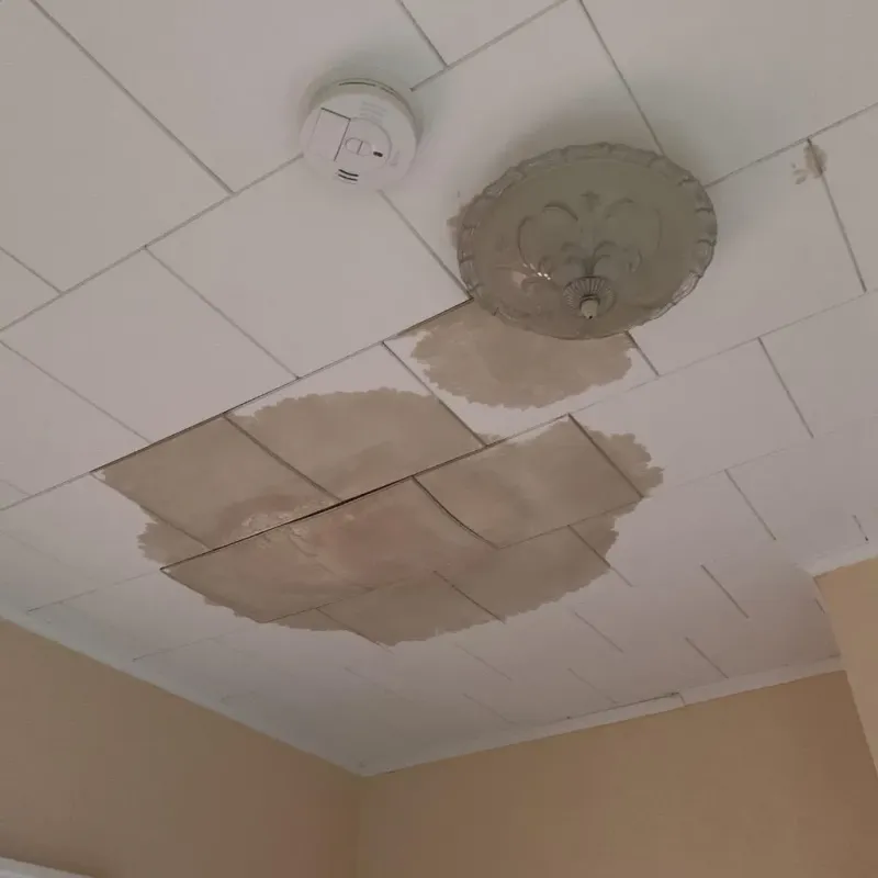 Ceiling Water Damage Repair in Cortland, NY